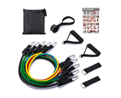 Power Bands: Kit de 5 Bandas de Resistencia con Mangos